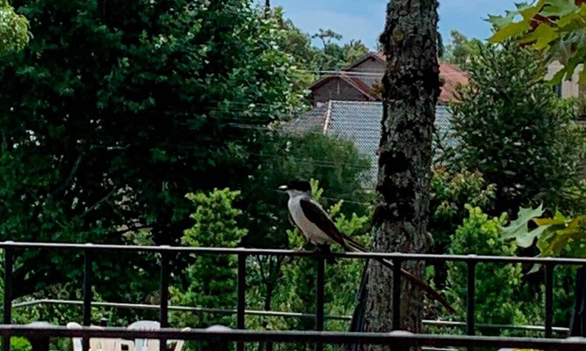 Photo of Outdoor in Carniel
