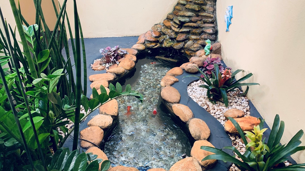 Photo of Outdoor in Orlandia