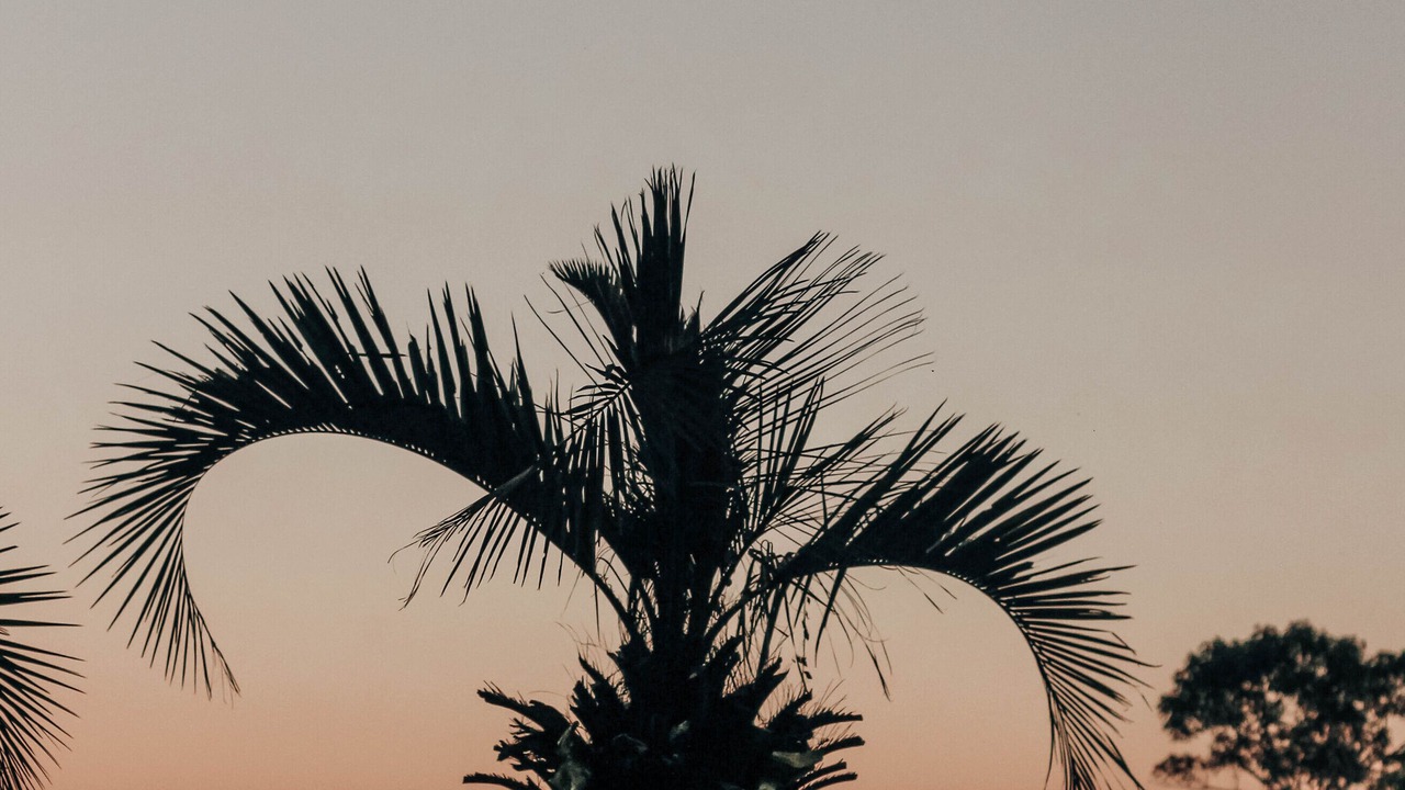 Photo of Outdoor in Vila Suica
