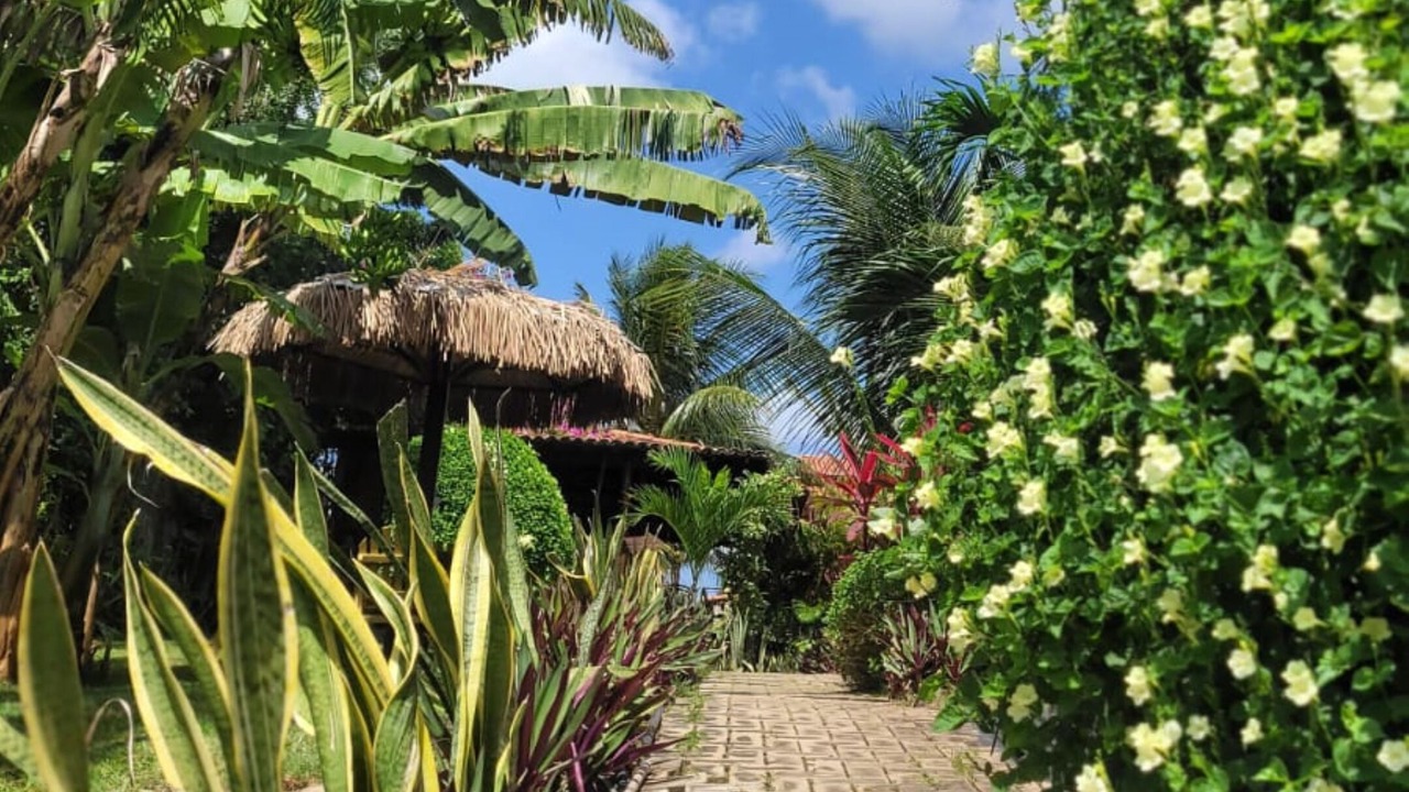 Photo of Outdoor in Sao Miguel de Touros