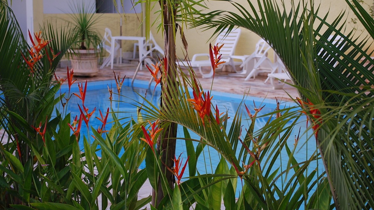 Photo of Outdoor in Ilha Solteira