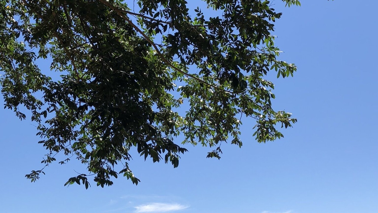 Photo of Outdoor in Cassia