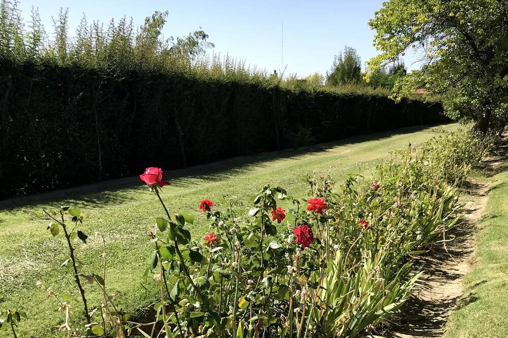 Photo of Outdoor in Tupungato