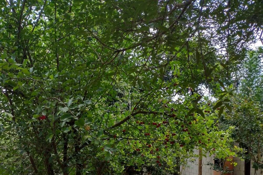 Photo of Outdoor in Taubate