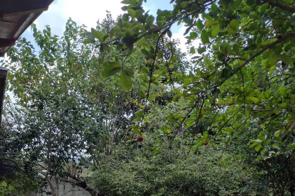 Photo of Outdoor in Taubate