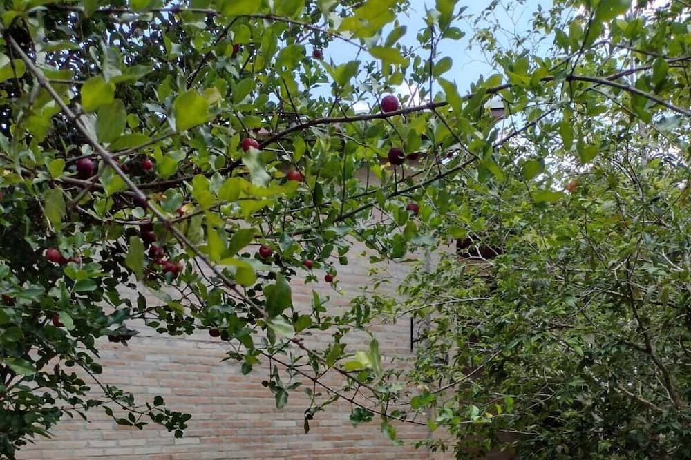 Photo of Outdoor in Taubate
