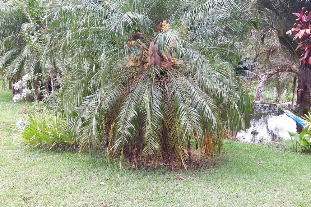 Photo of Outdoor in Itariri