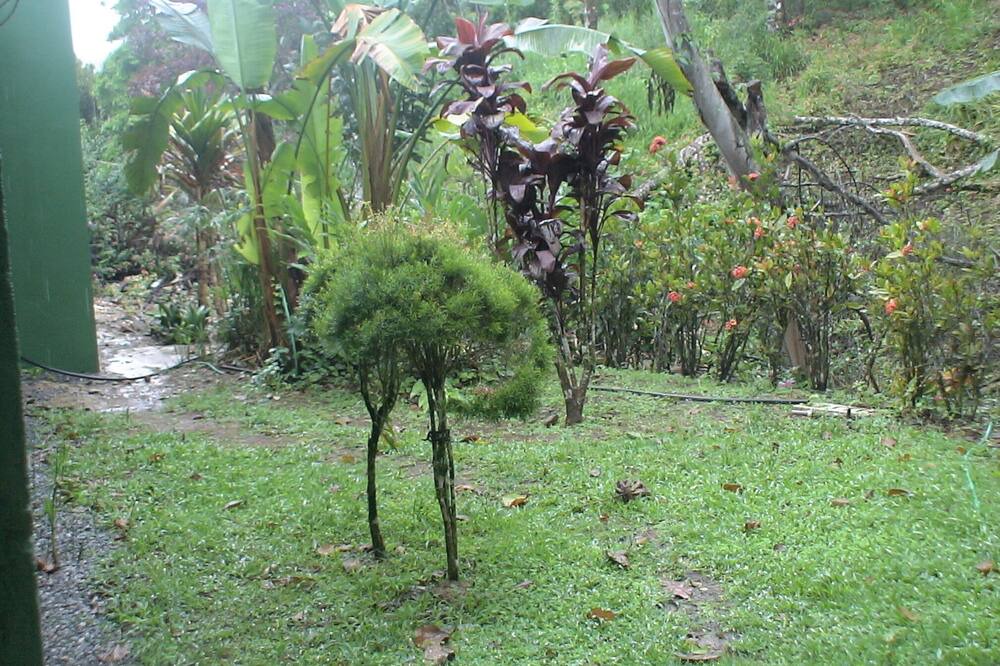 Photo of Outdoor in Itariri