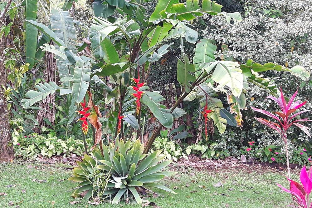 Photo of Outdoor in Itariri