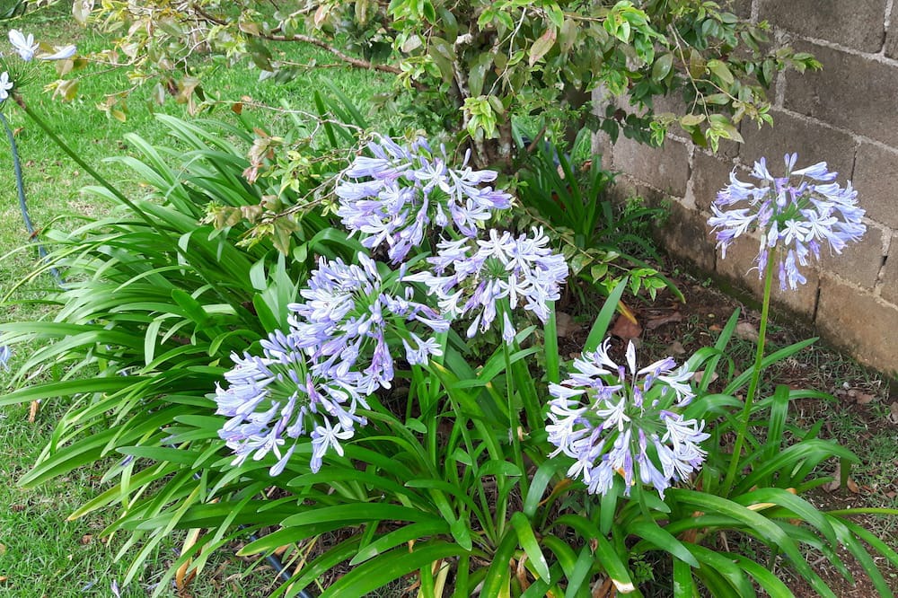 Photo of Outdoor in Itariri