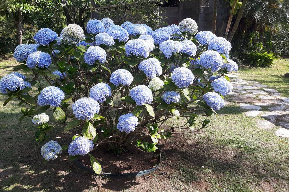 Photo of Outdoor in Itariri