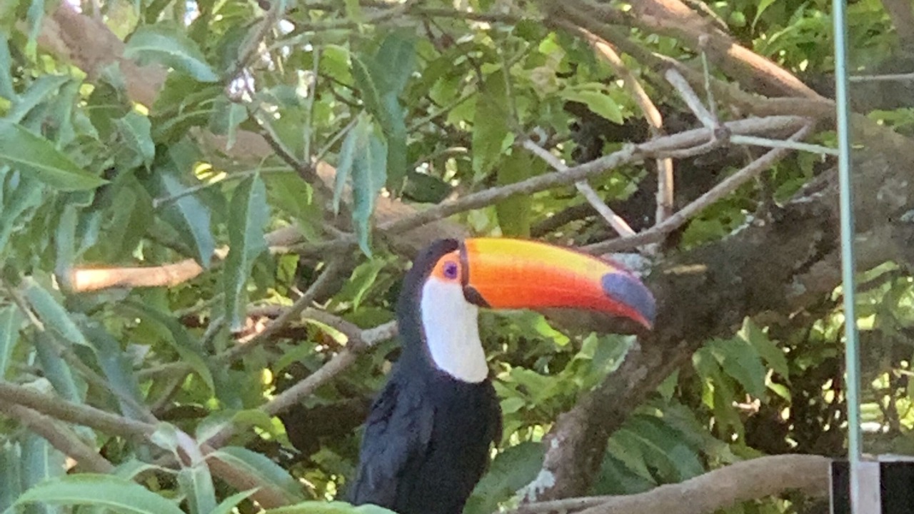 Photo of Outdoor in Piracicaba