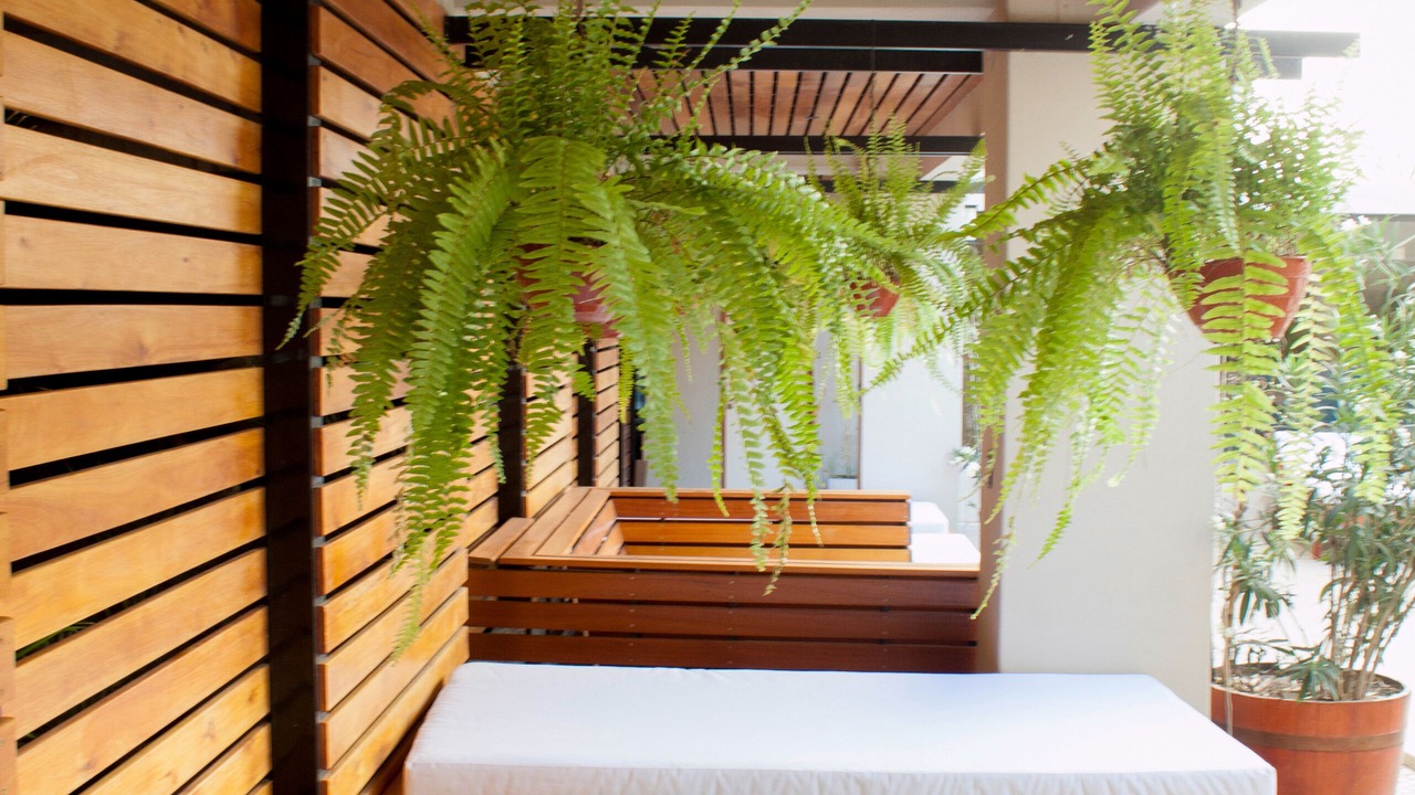 Photo of Patio Balcony in Dorrego