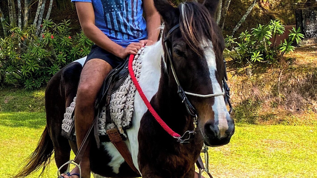 Photo of Outdoor in Juquitiba