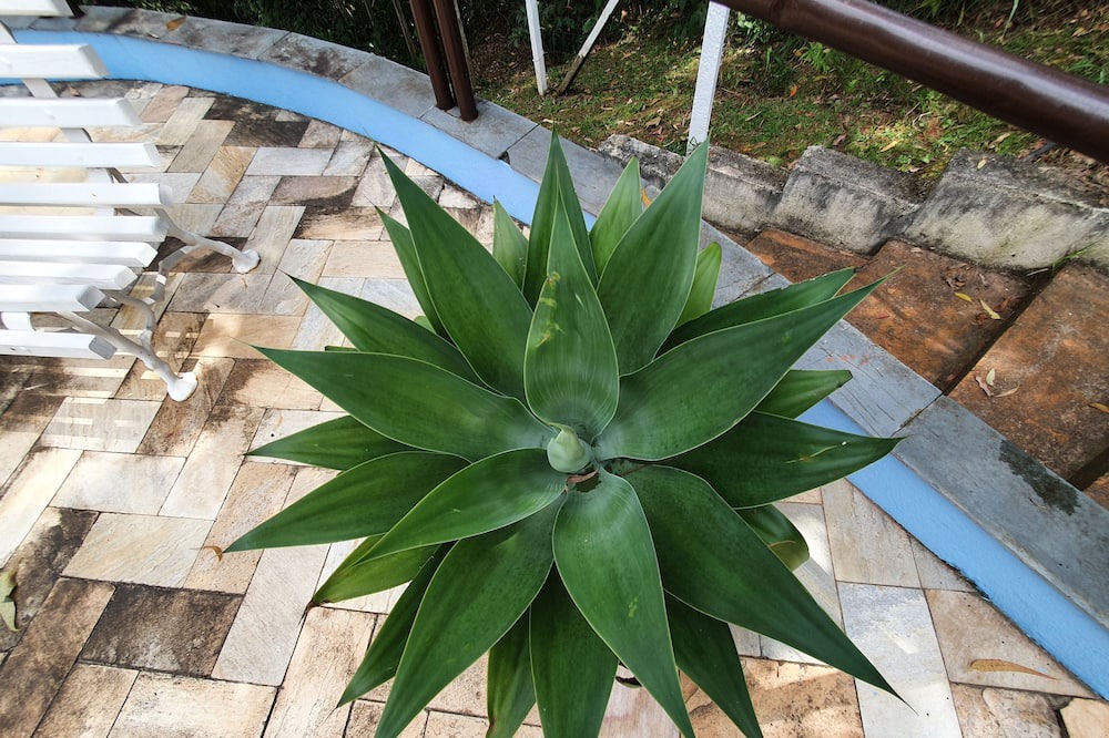 Photo of Outdoor in Mairipora