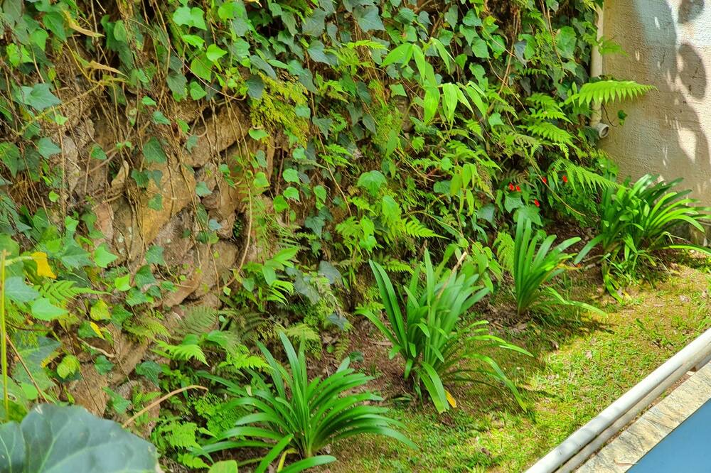 Photo of Outdoor in Mairipora