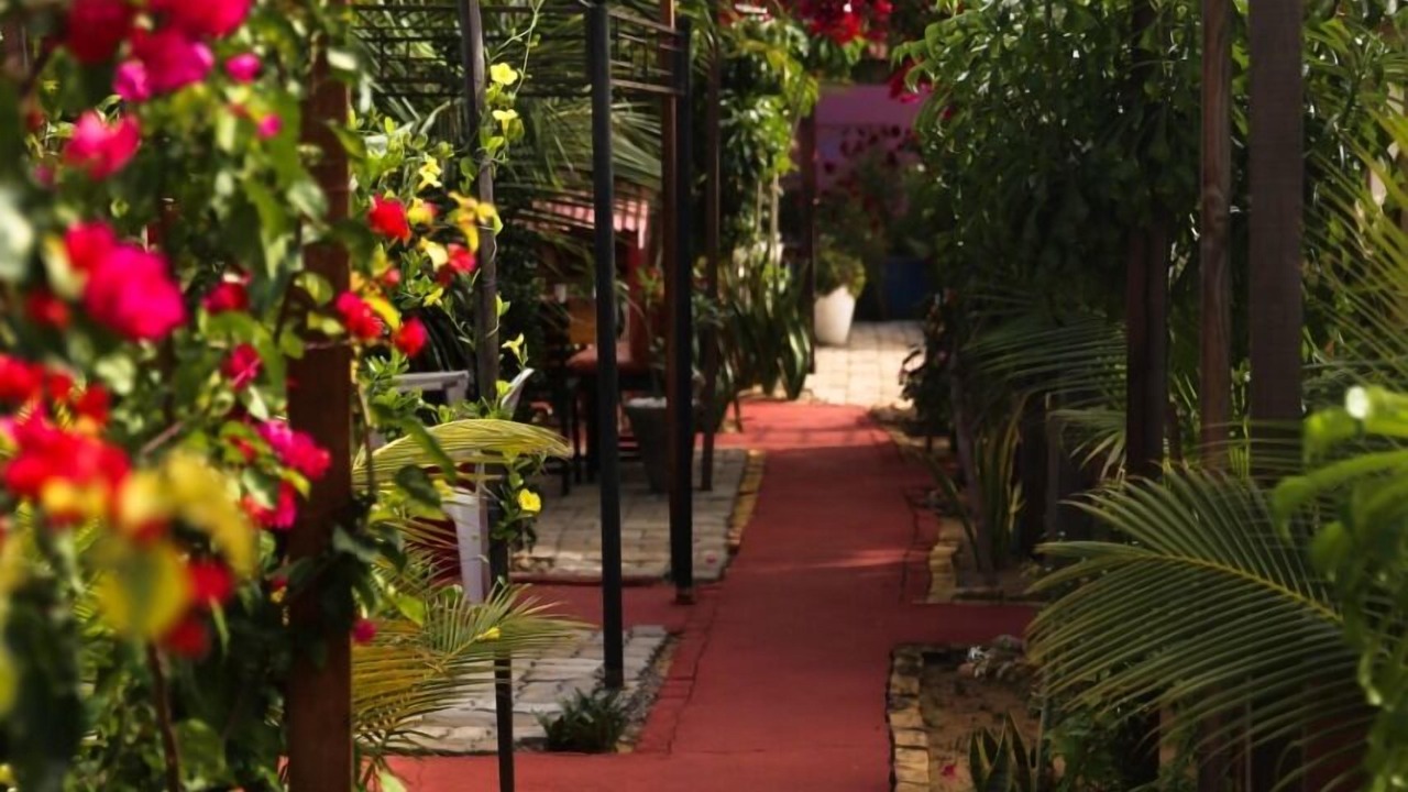 Photo of Outdoor in Sao Miguel de Touros