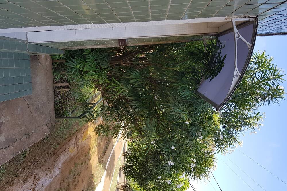 Photo of Outdoor in Floresta Velha