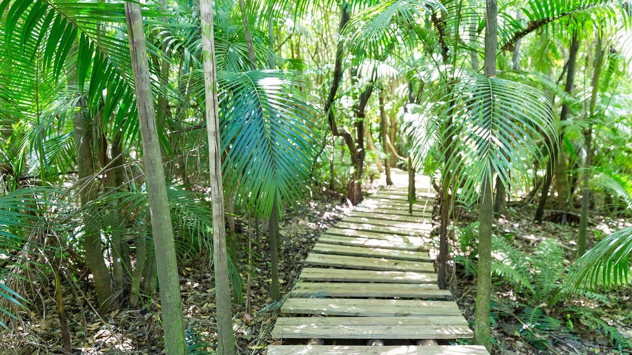 Photo of Outdoor in Aguas de Santa Barbara