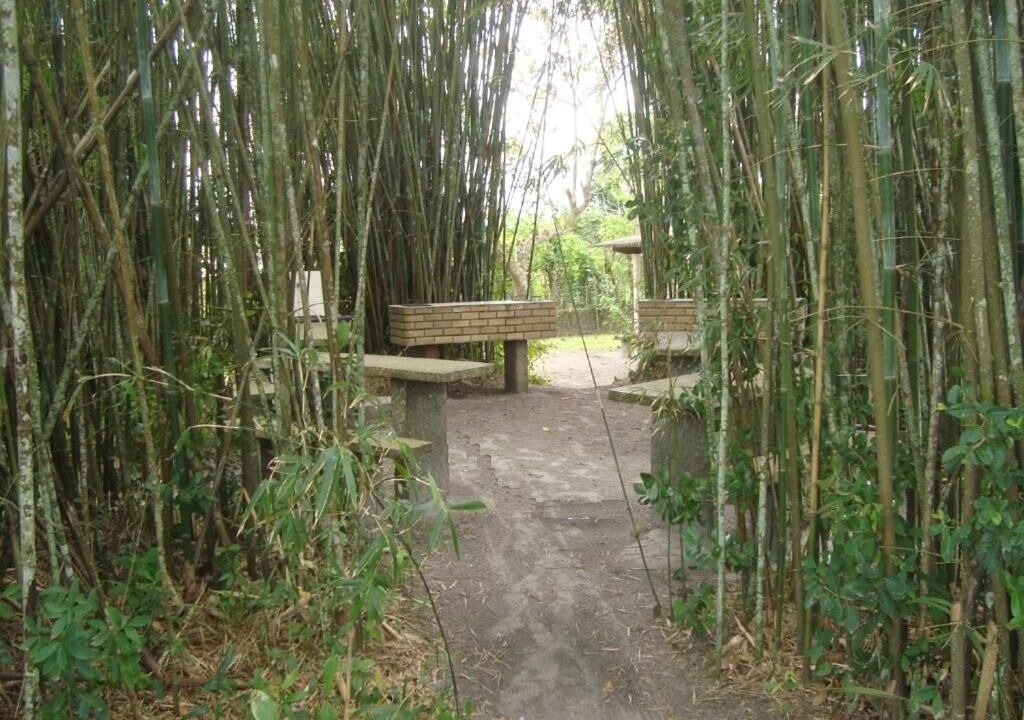 Photo of Outdoor in Ilha Comprida