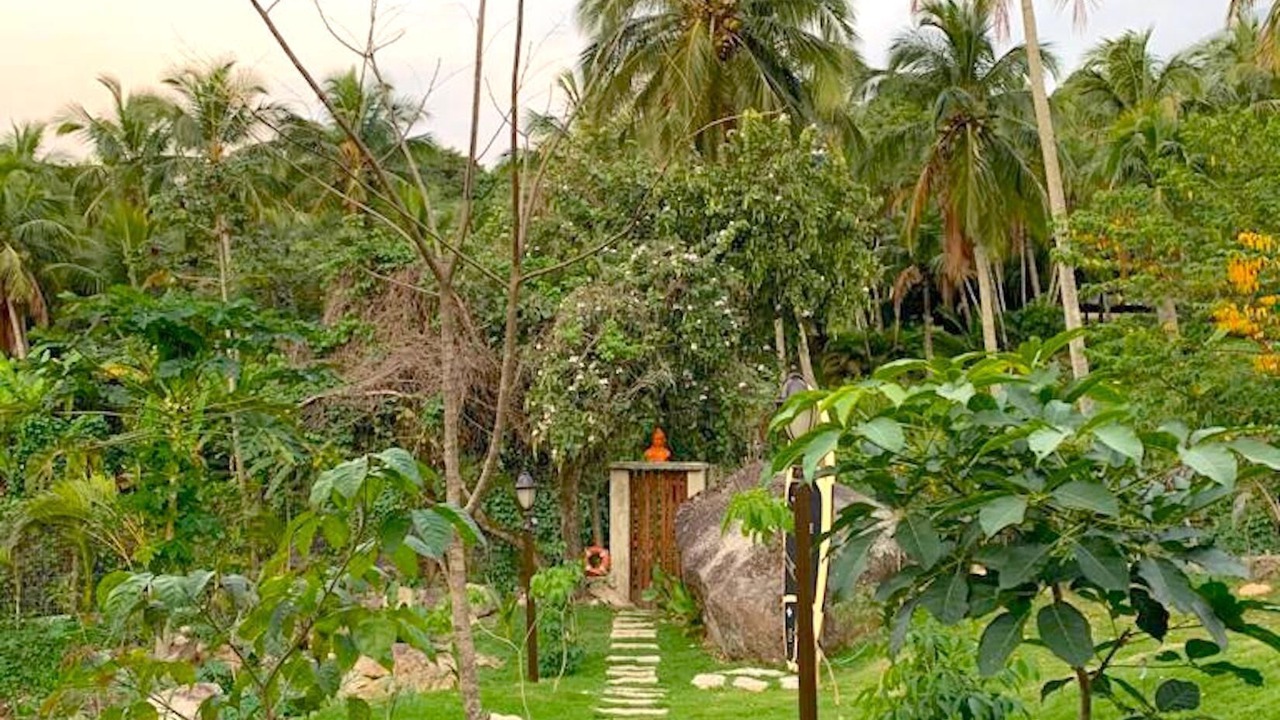 Photo of Outdoor in Feiticeira