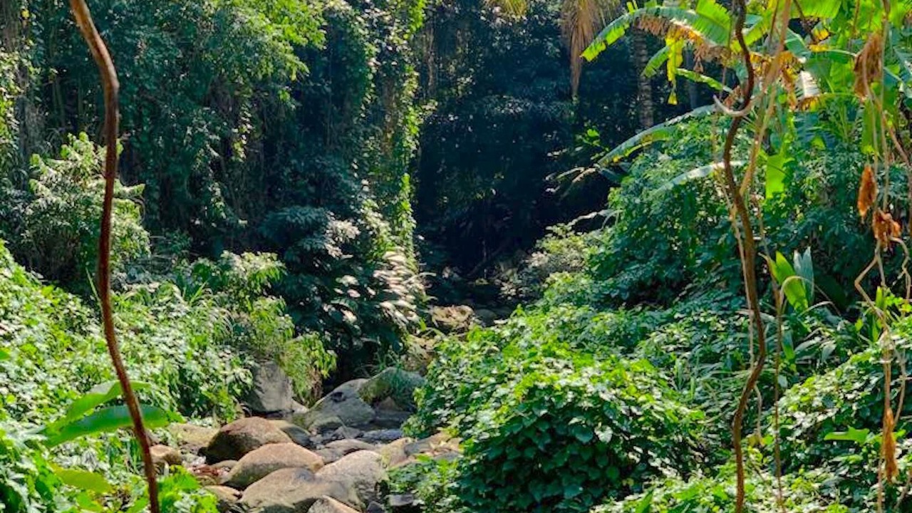 Photo of Outdoor in Feiticeira