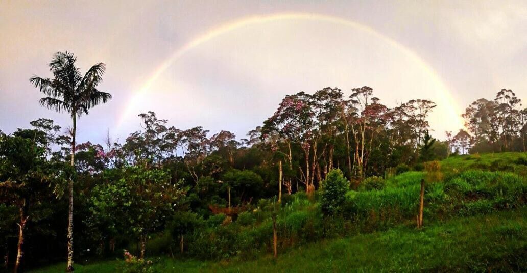 Photo of Outdoor in Tapirai