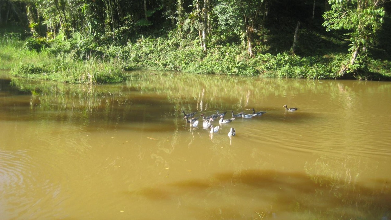 Photo of Outdoor in Tapirai