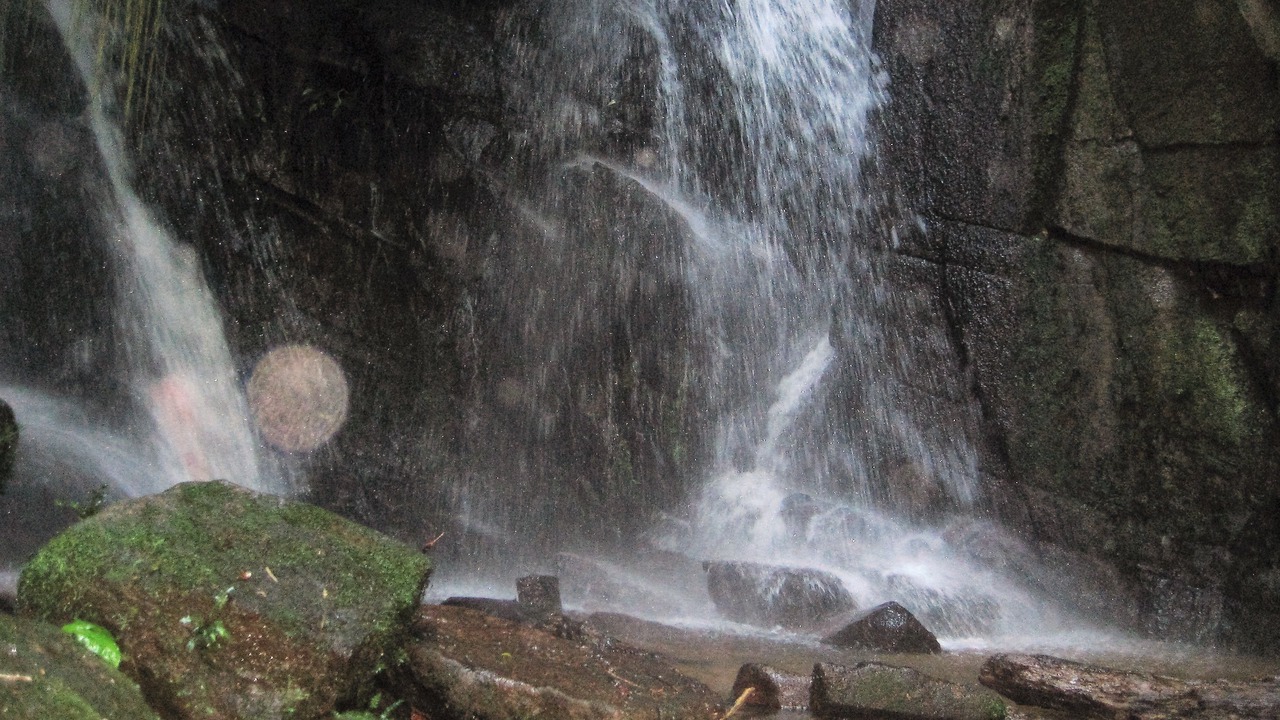 Photo of Outdoor in Tapirai
