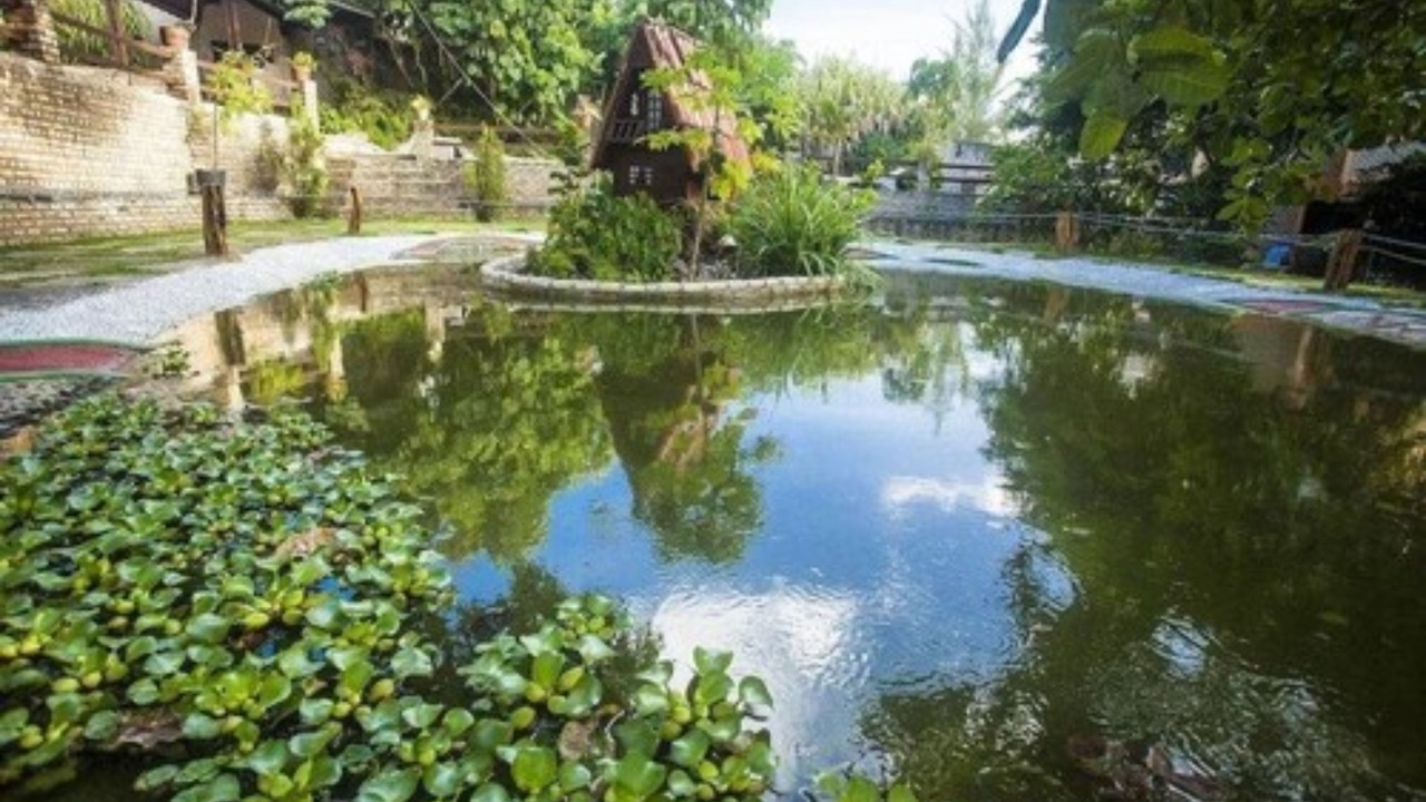 Photo of Outdoor in Ponta Negra
