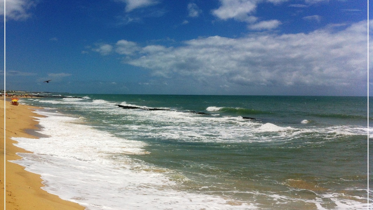 Photo of Others in Praia do Meio