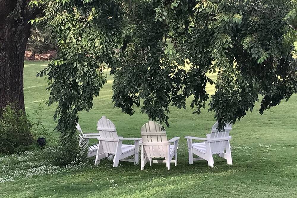 Photo of Outdoor in Cruz Chica