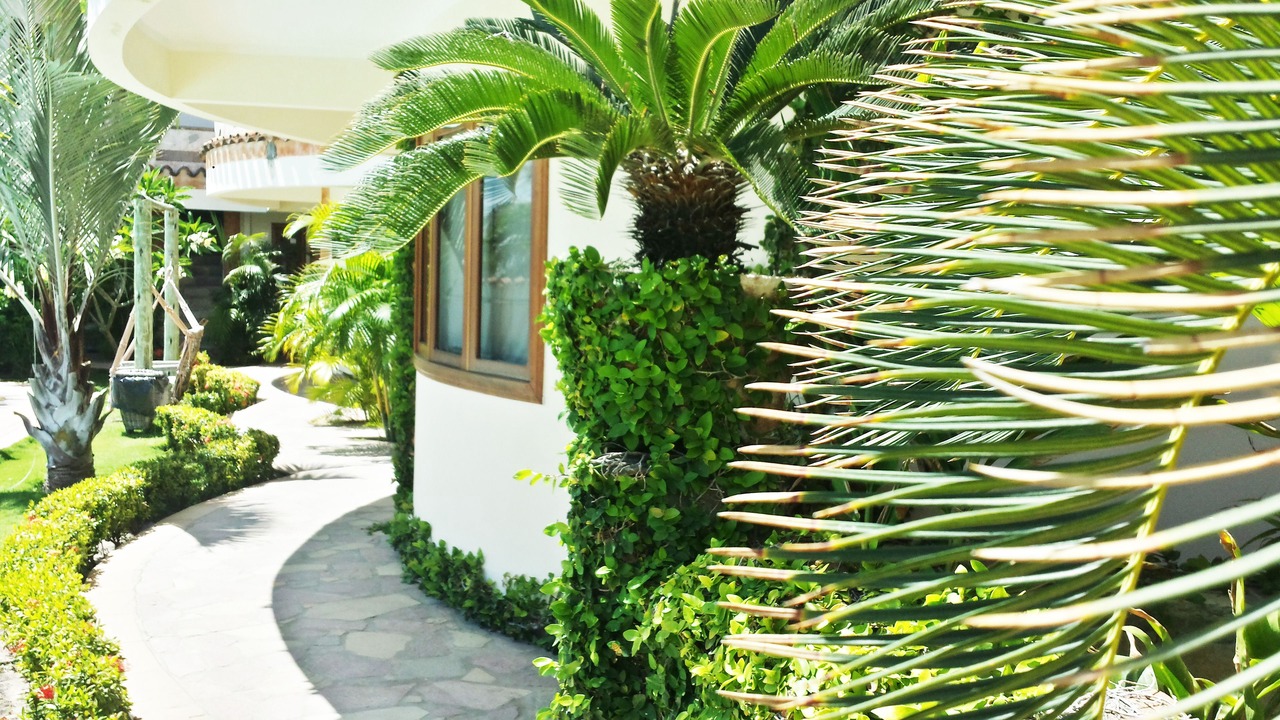 Photo of Outdoor in Canoa Quebrada