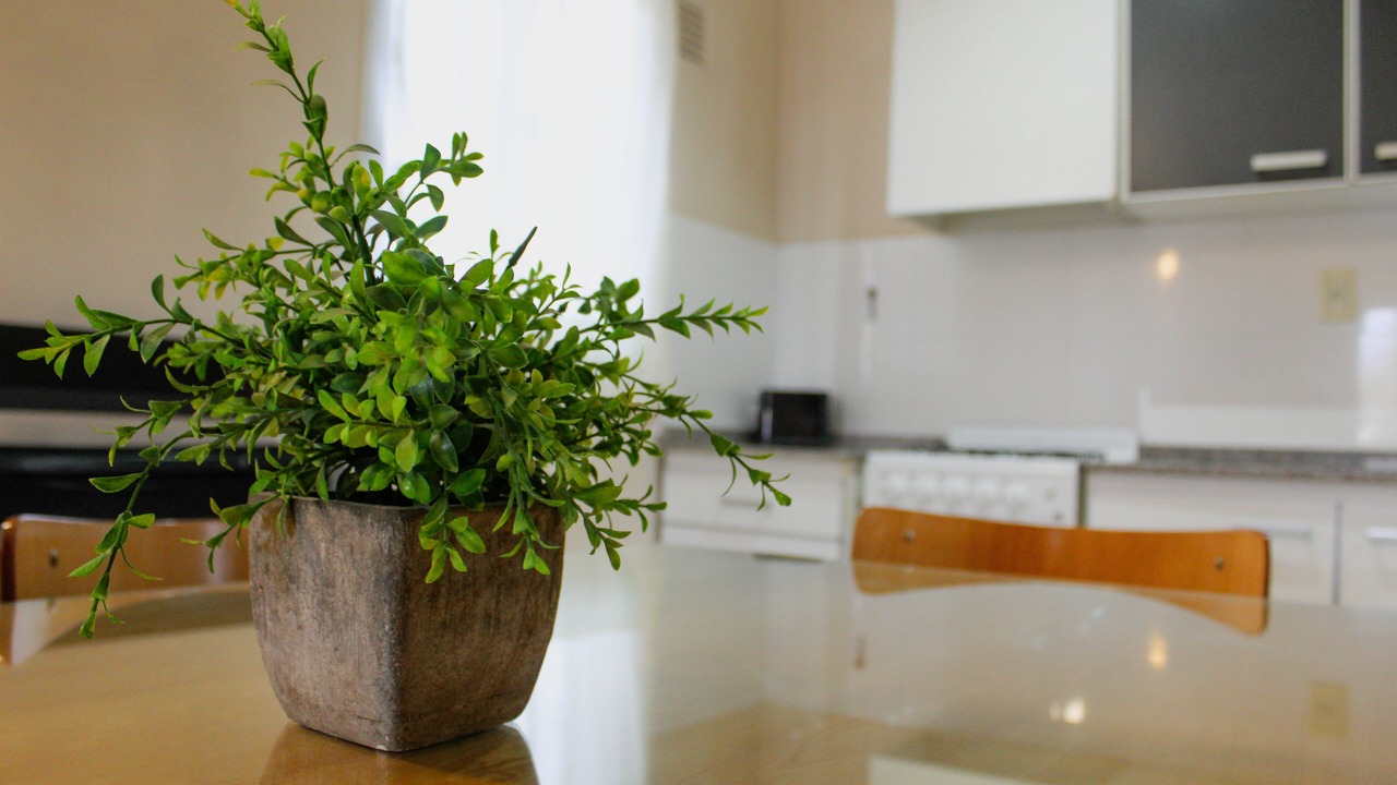 Photo of Kitchen in Mendoza City Center