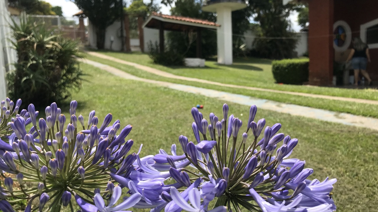 Photo of Outdoor in Jardim Estancia Brasil