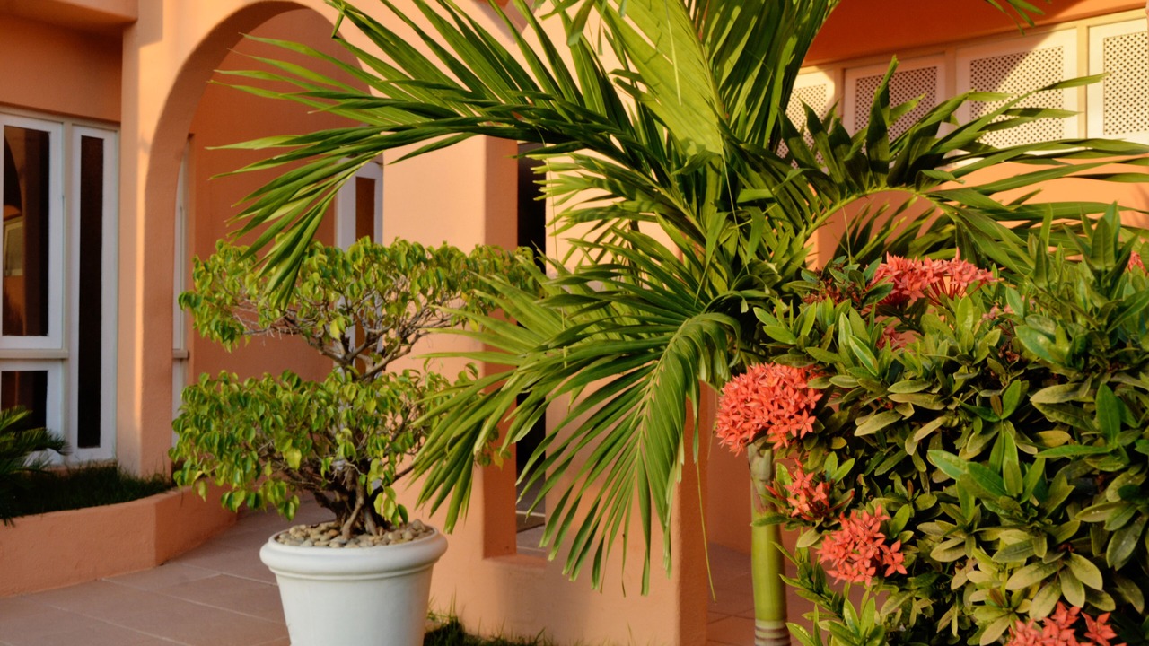 Photo of Outdoor in Atalaia
