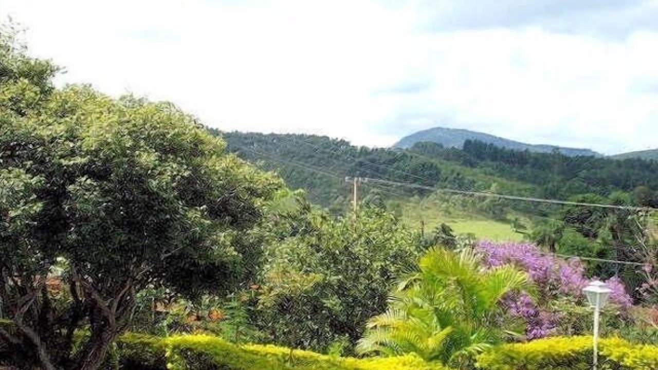 Photo of Outdoor in Braganca Paulista