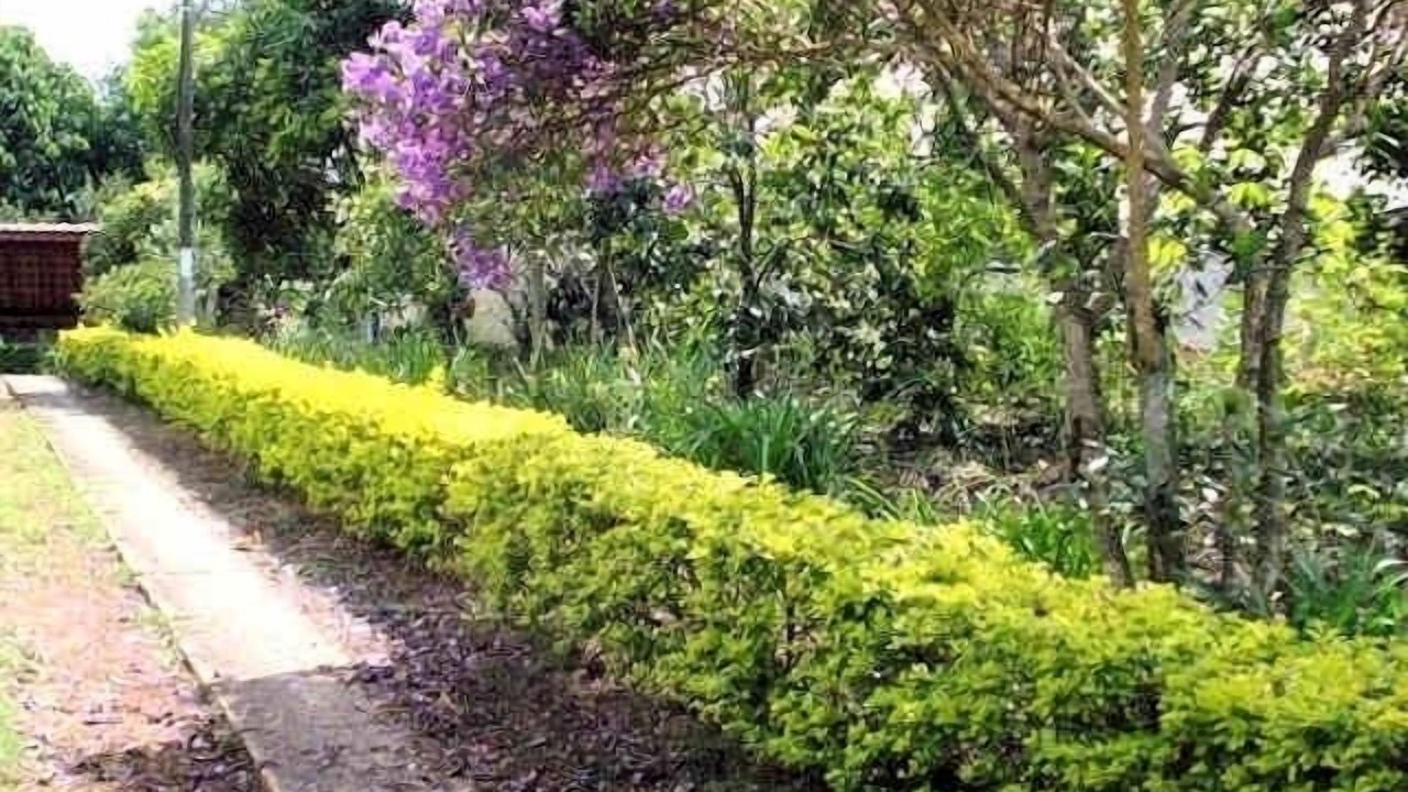 Photo of Outdoor in Braganca Paulista