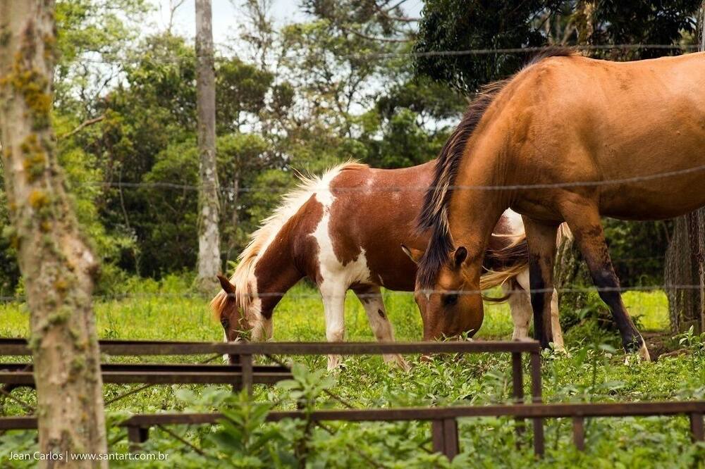 Photo of Outdoor in Embu-Guacu