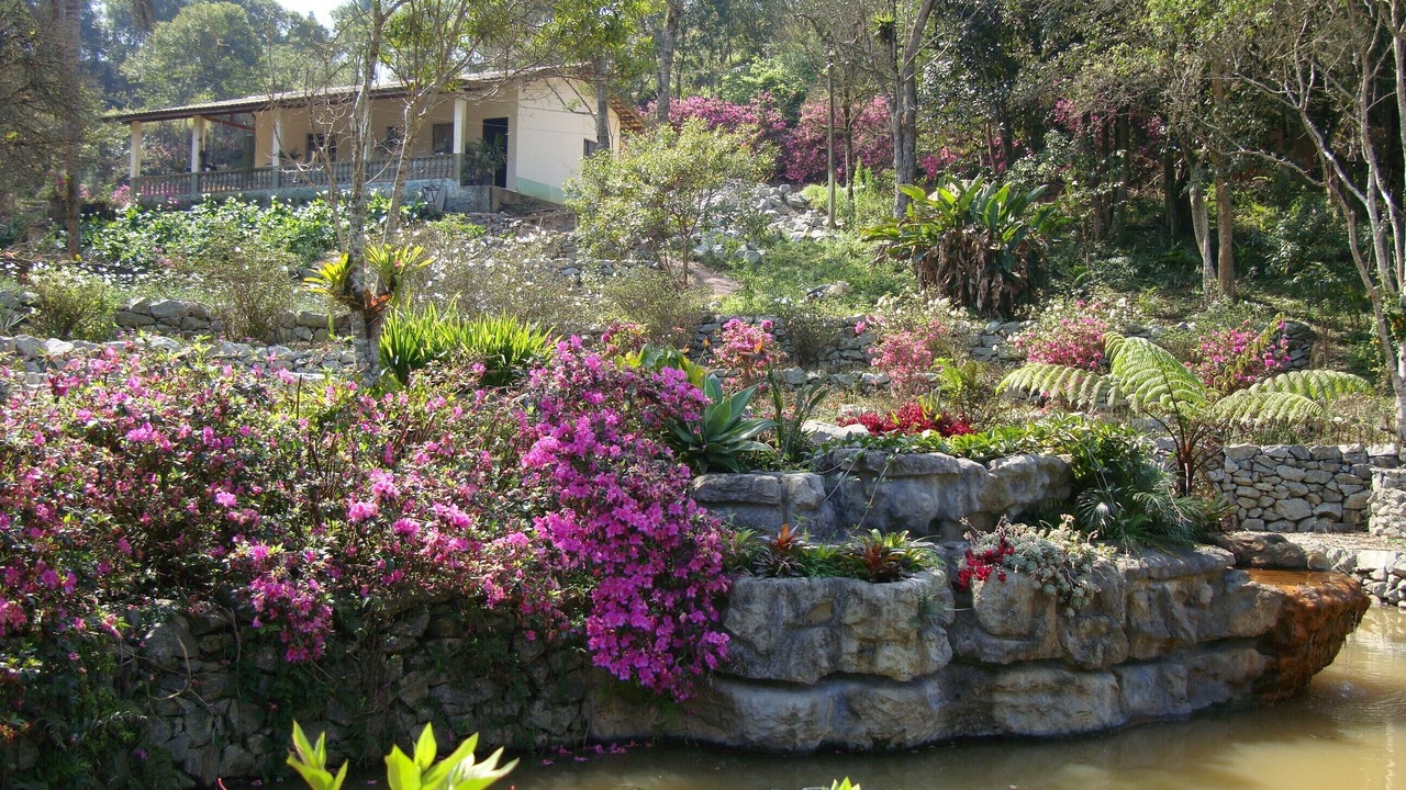 Photo of Outdoor in Suzano