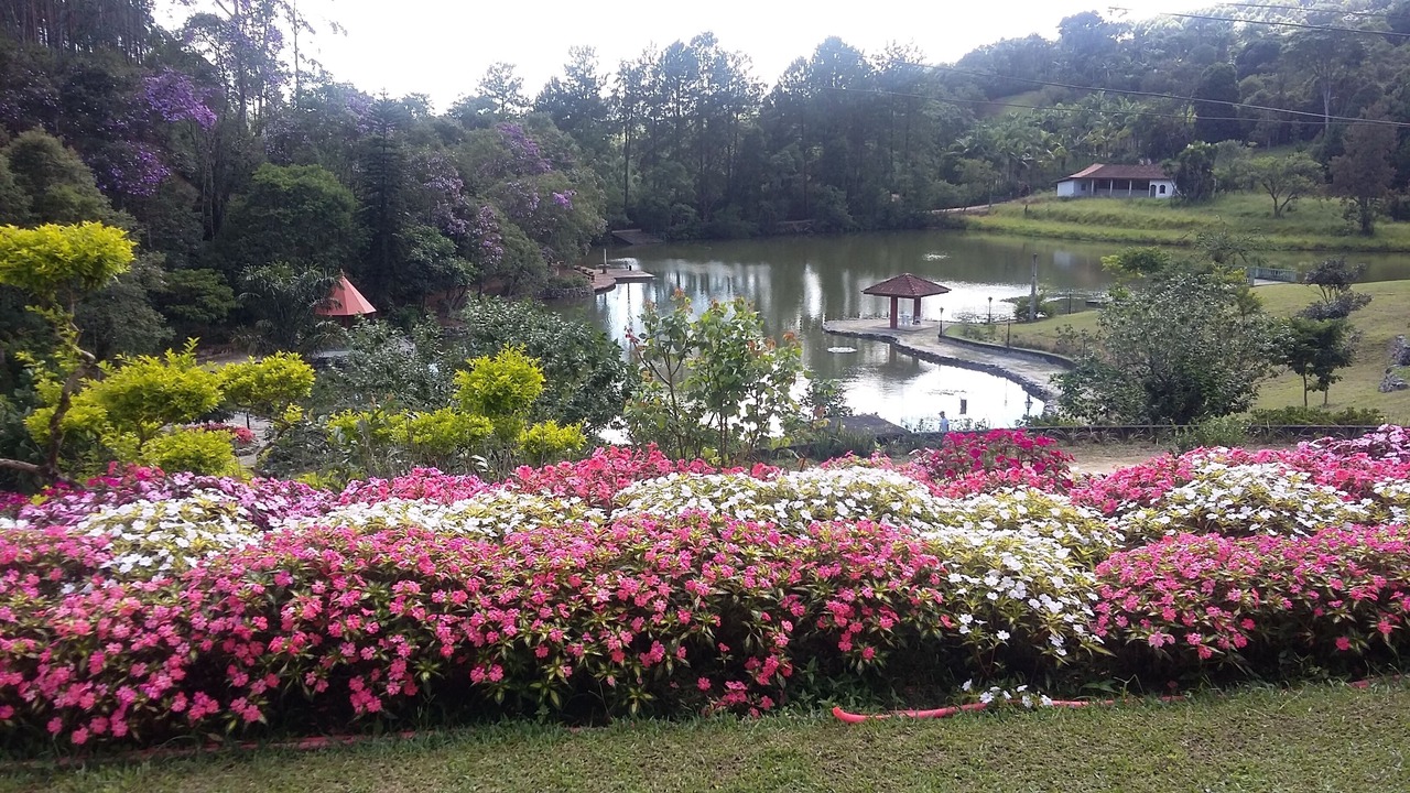 Photo of Outdoor in Suzano