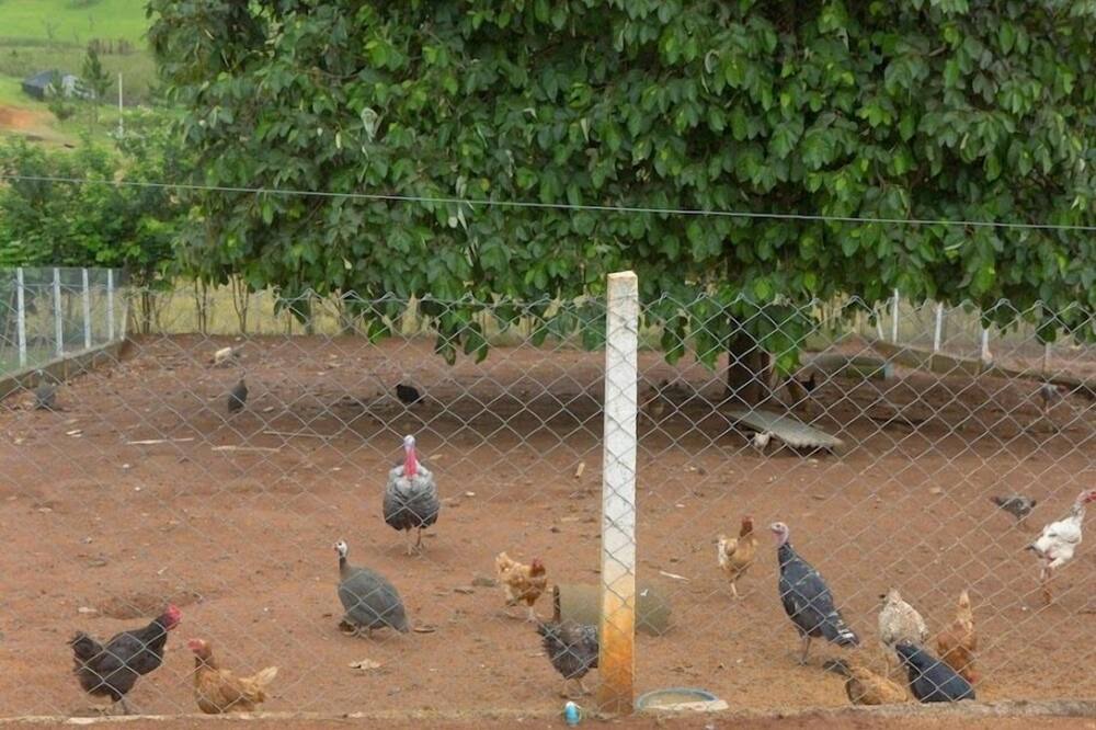 Photo of Others in Atibaia