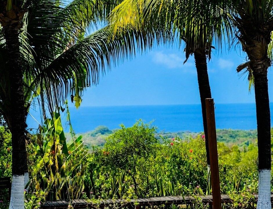 Photo of Outdoor in Floresta Velha