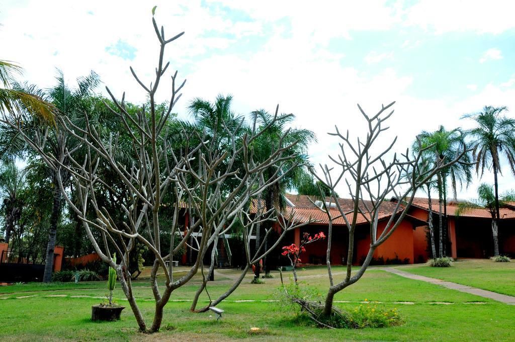 Photo of Outdoor in Olimpia