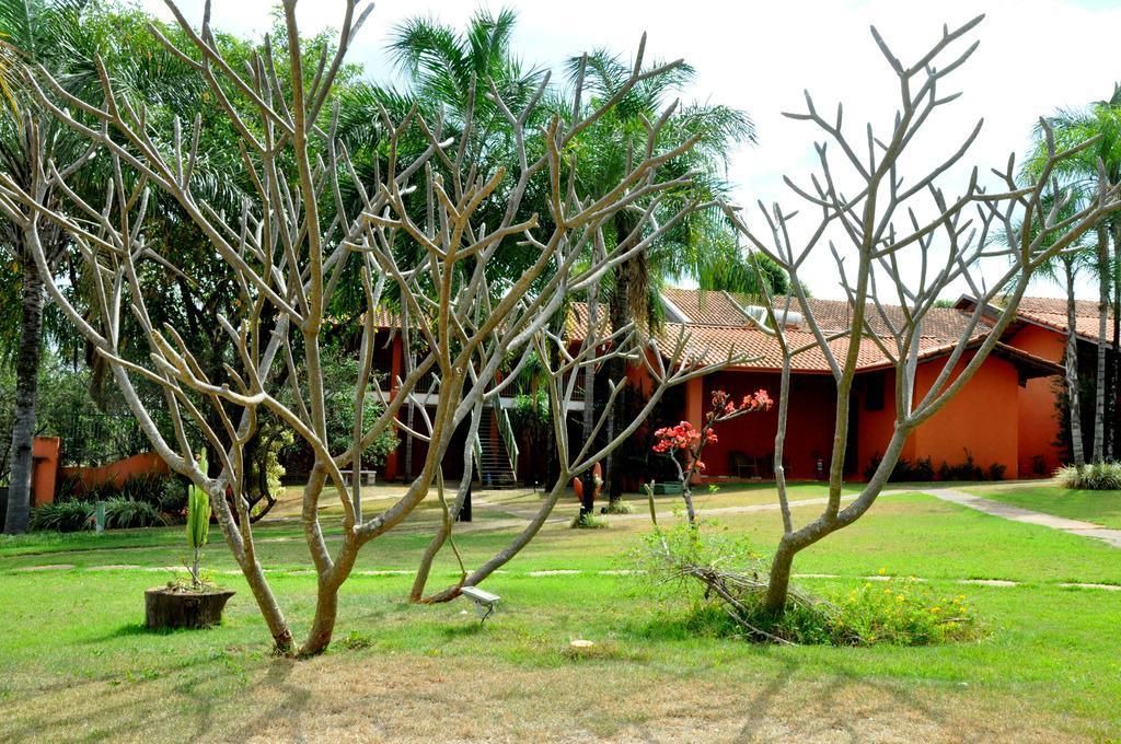 Photo of Outdoor in Olimpia