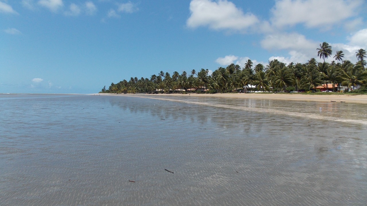 Photo of Others in Barreira do Boqueirao