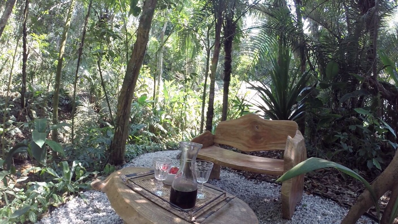 Photo of Outdoor in Felix
