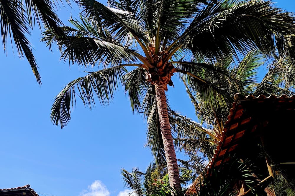 Photo of Outdoor in Acarai