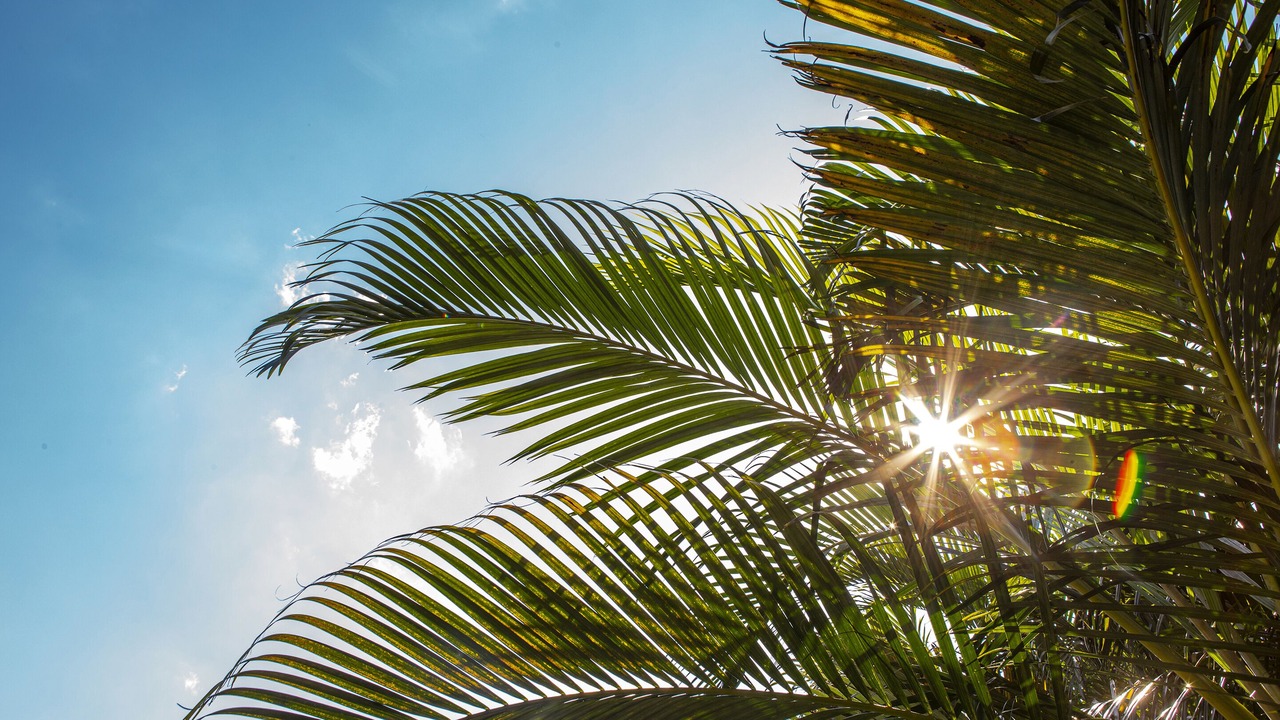 Photo of Outdoor in Maresias