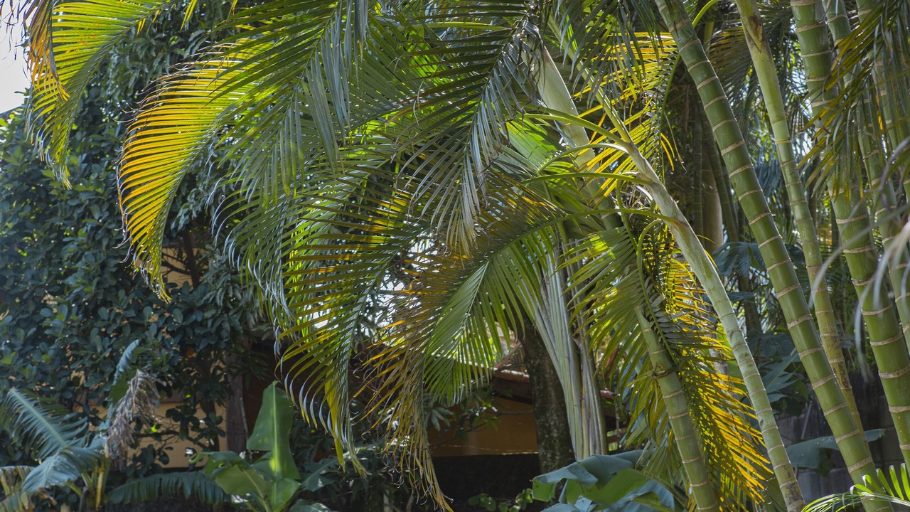 Photo of Outdoor in Maresias